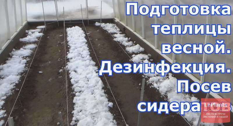Как подготовить теплицу весной: пошаговое руководство для богатого урожая