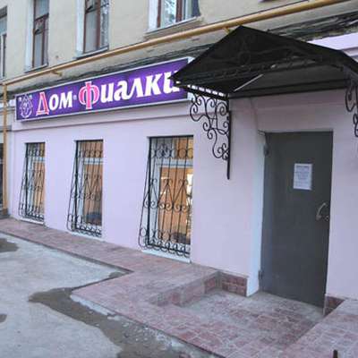 Фиалковая феерия в "Доме Фиалки"