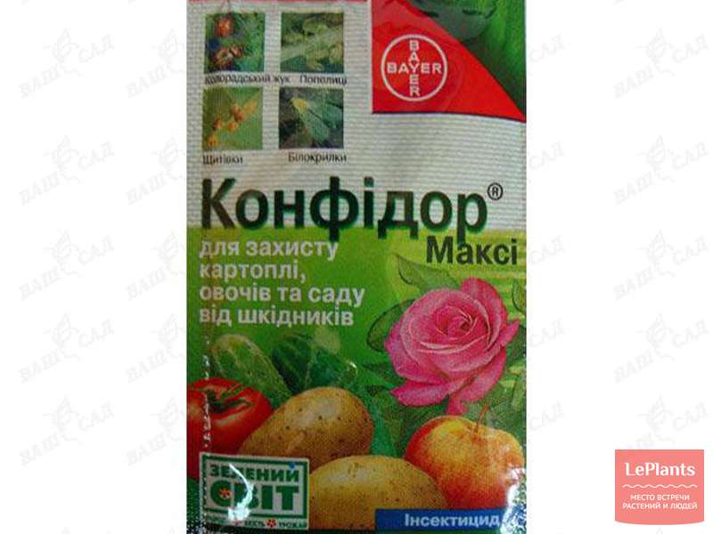 Конфидор для обработки растений и почвы | Полезное об инсектициде