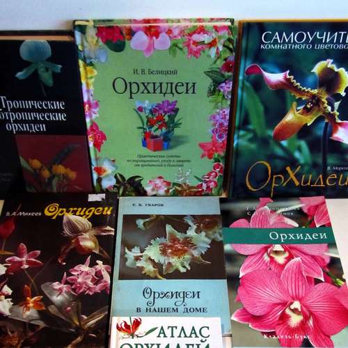 Несколько книг про орхидеи.