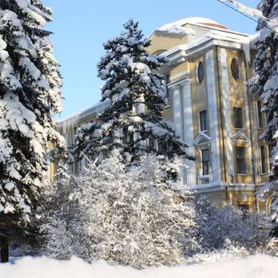 Санкт-Петербургский Ботсад приглашает на фестиваль, приуроченный к Новому году