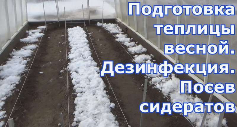 Как подготовить теплицу весной: пошаговое руководство для богатого урожая