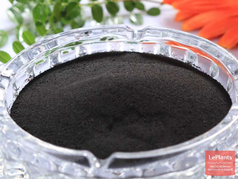 Гуматы - "Цветоводство" :: читать на сайте LePlants.ru