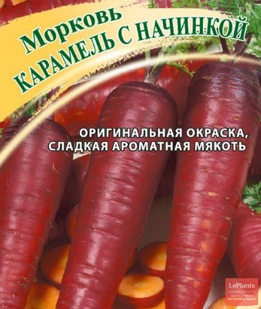 Лучшие сорта моркови для Подмосковья названия описания отзывы фото