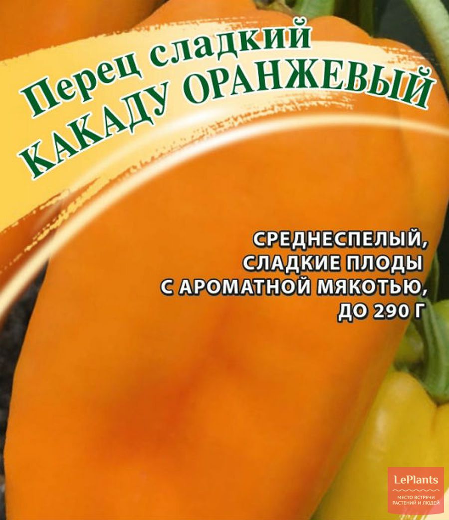 Сорта оранжевого перца: выбираем лучшие сладкие ранние и поздние сорта болгарского перца
