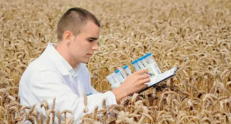 Профессия агронома в Тамбове: особенности, работа и перспективы