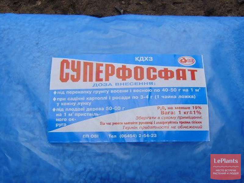 Суперфосфат растворяется в воде. Суперфосфат. двойной суперфосфат для рассады. суперфосфат удобрение. фосфорные удобрения в упаковках.
