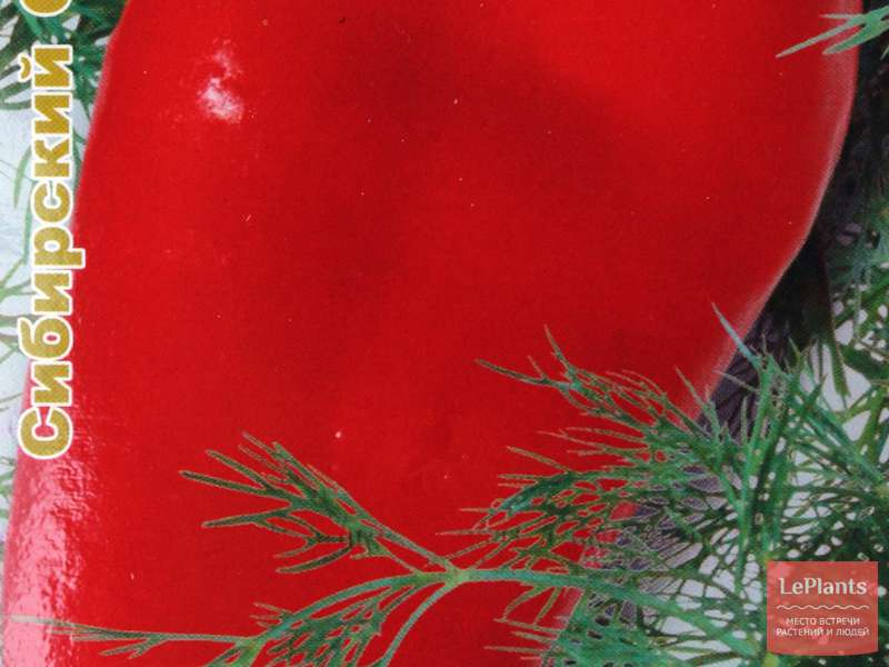 Перец сладкий Красная лопата — описание сорта, характеристики