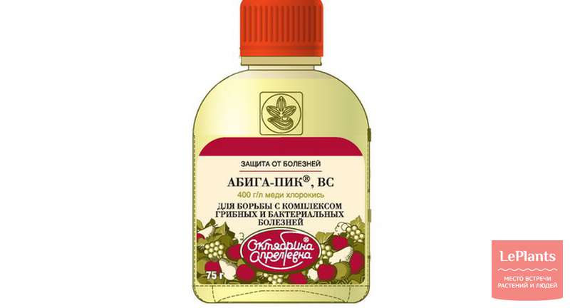 Абига-Пик