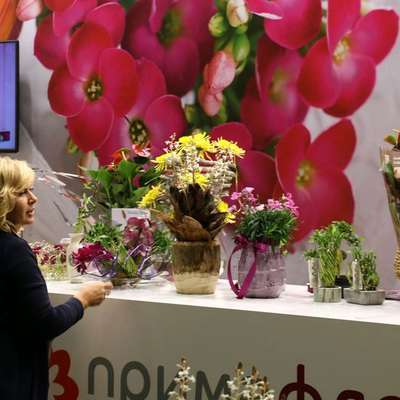 Flower Expo завершилась грандиозной распродажей растений