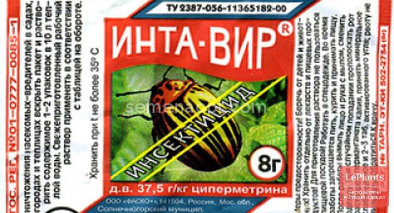 Инта-вир