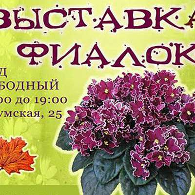 Сотни фиалок покажут на выставке в Харькове