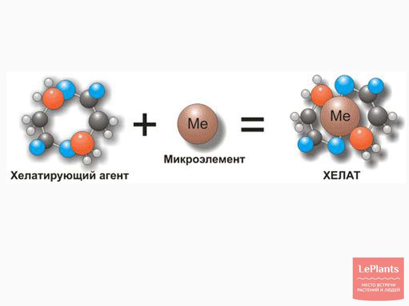 Железо хелат чем отличается. Хелатные комплексы с ионами металлов. Хелатные соединения. Микроэлементы в хелатной форме. Хелатная форма.